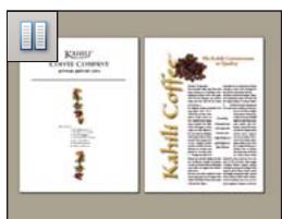 ADOBE ACROBAT 8 PROFESSIONAL - Configuration de la mise en page et de l'orientation des pages - 3