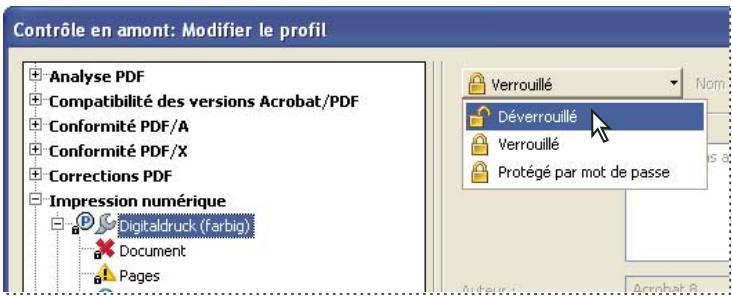 ADOBE ACROBAT PRO 9.0 - Verrouillage, déverrouillage et protection par mot de passé d'un profil - 1