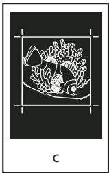 ADOBE ACROBAT PRO 9.0 - A propos de l'émulsion et de l'exposition de l'image - 3