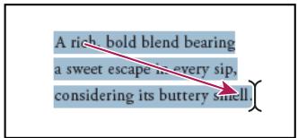ADOBE ACROBAT PRO 9.0 - Sélection et copie de texte - 2