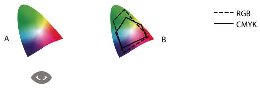 ADOBE ACROBAT PRO 9.0 - Pourquoi les couleurs ne concordent pas toujours ? - 1