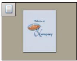 ADOBE ACROBAT PRO 9.0 - Configuration de la mise en page et de l'orientation des pages - 1