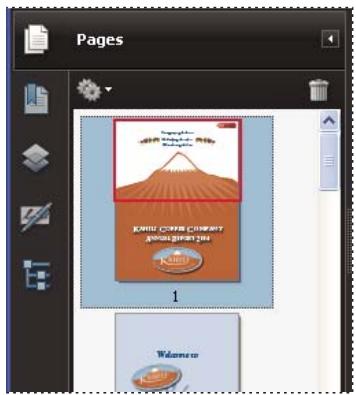 ADOBE ACROBAT PRO 9.0 - Redimensionnement d'une vignette - 1