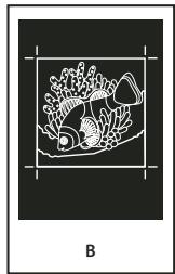 ADOBE ACROBAT PRO 9.0 - A propos de l'émulsion et de l'exposition de l'image - 2