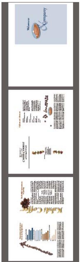 ADOBE ACROBAT PRO 9.0 - Impression en livre - 2