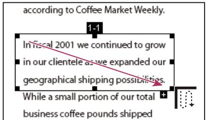 ADOBE ACROBAT PRO 9.0 - Insertion d'une division d'article dans une division existante - 1