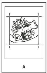 ADOBE ACROBAT PRO EXTENDED 9.0 - A propos de l'émulsion et de l'exposition de l'image - 1