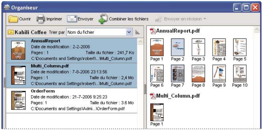 ADOBE ACROBAT PRO EXTENDED 9.0 - Panneau des pages - 1