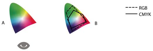 ADOBE ACROBAT PRO EXTENDED 9.0 - Pourquoi les couleurs ne concordent pas toujours ? - 1