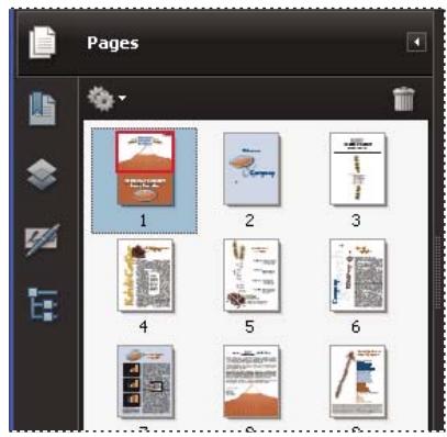 ADOBE ACROBAT PRO EXTENDED 9.0 - Redimensionnement d'une vignette - 2