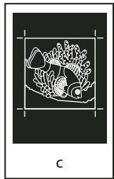 ADOBE ACROBAT PRO EXTENDED 9.0 - A propos de l'émulsion et de l'exposition de l'image - 3