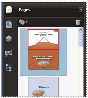 ADOBE ACROBAT PRO EXTENDED 9.0 - Redimensionnement d'une vignette - 1