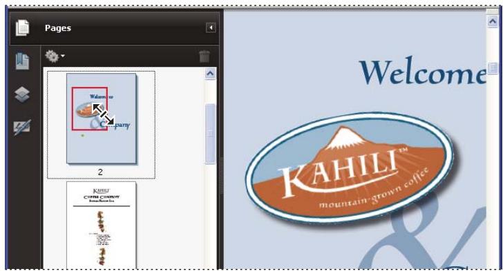 ADOBE ACROBAT PRO EXTENDED 9.0 - Changement du facteur de zoom à l'aide d'une vignette - 1