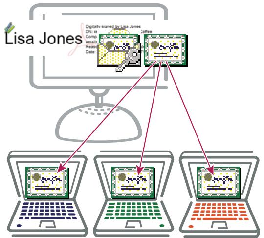 ADOBE ACROBAT PRO EXTENDED 9.0 - A propos des identifications numériques - 1
