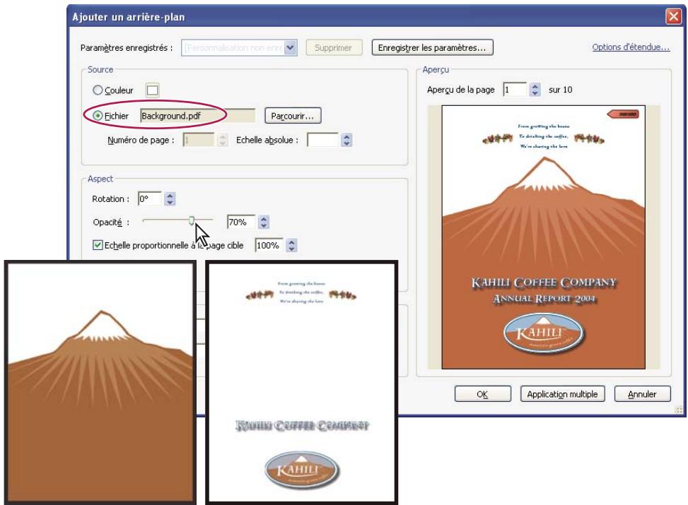 ADOBE ACROBAT PRO EXTENDED 9.0 - Ajout et modification d'un arrêté-plan - 1