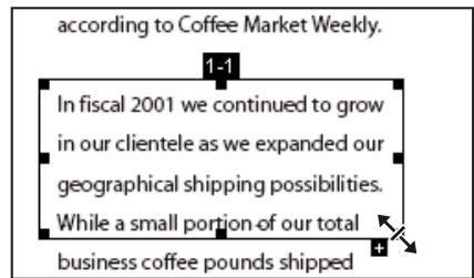 ADOBE ACROBAT PRO EXTENDED 9.0 - Déplacement ou redimensionnement d'une division d'article - 1