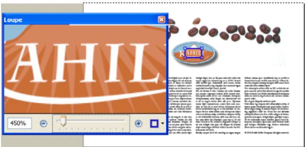 ADOBE ACROBAT PROFESSIONAL 7.0 - Pour changer le facteur de zoom à l'aide de l'outil Loupe : - 1