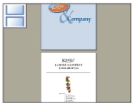 ADOBE ACROBAT PROFESSIONAL 7.0 - Configuration de la disposition et de l'orientation des pages - 2