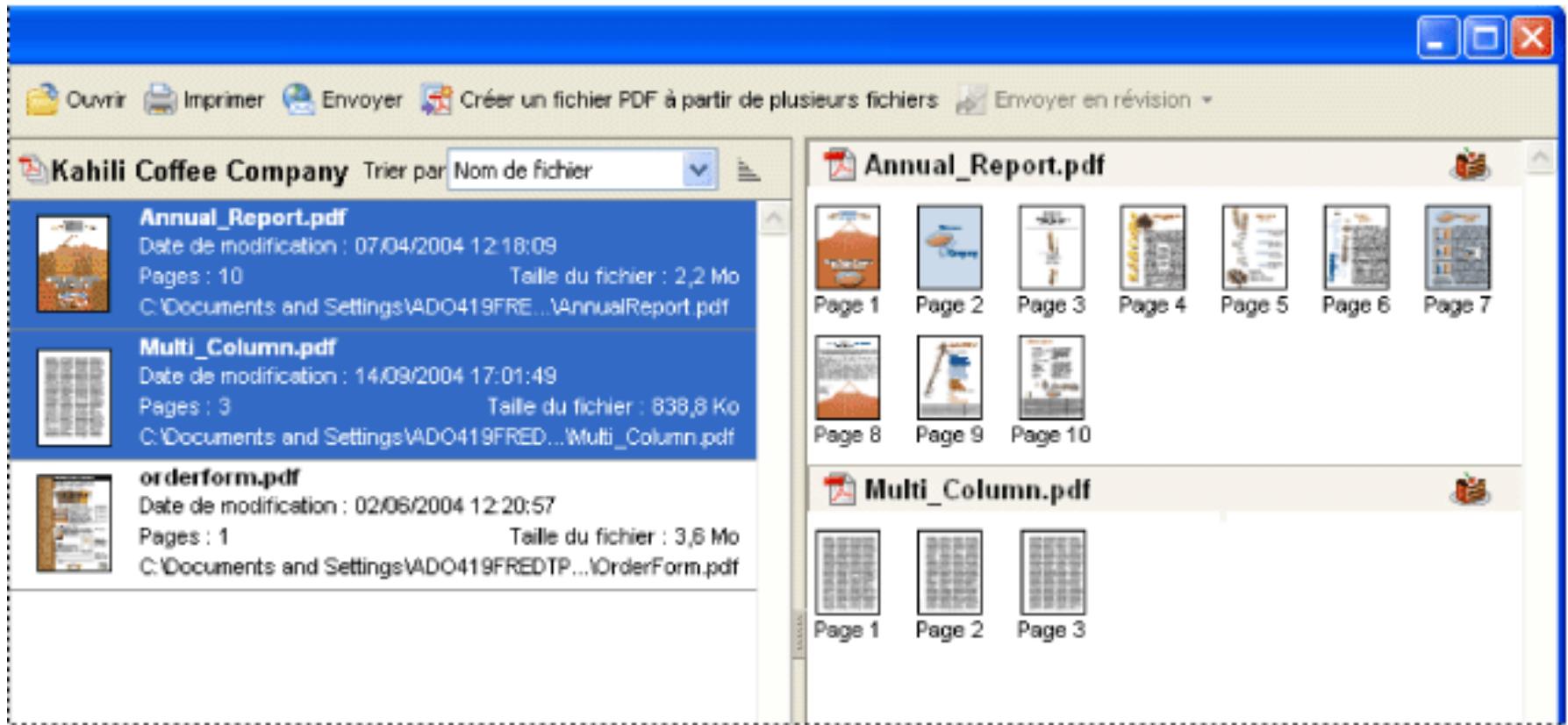 ADOBE ACROBAT PROFESSIONAL 7.0 - Utilisation du panneau des pages de la fenêtre Organiseur - 1