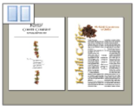 ADOBE ACROBAT PROFESSIONAL 7.0 - Configuration de la disposition et de l'orientation des pages - 4