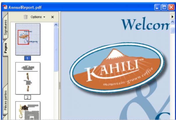 ADOBE ACROBAT PROFESSIONAL 7.0 - Pour changer le facteur de zoom à l'aide d'une vignette : - 1