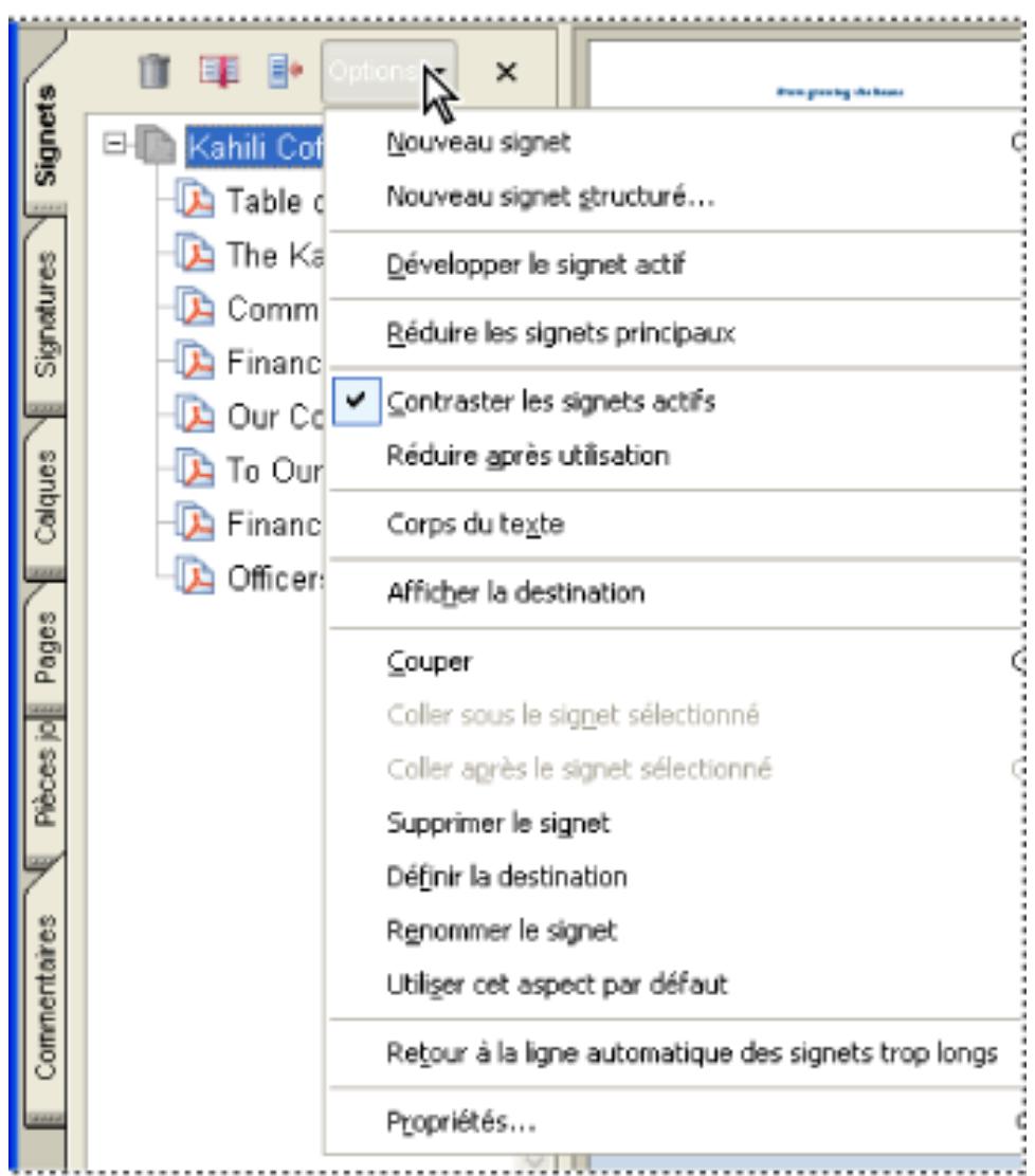 ADOBE ACROBAT PROFESSIONAL 7.0 - Pour désir une commande dans le menu Options d'un panneau : - 1