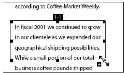 ADOBE ACROBAT XI - Déplacement ou redimensionnement d'une division d'article - 1