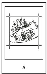 ADOBE ACROBAT XI - Spécification de l'émulsion et de l'exposition de l'image (Acrobat Pro) - 1