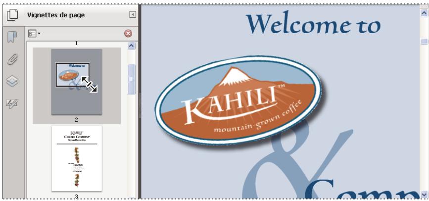 ADOBE ACROBAT XI - Changement du facteur de zoom à l'aide d'une vignette - 1