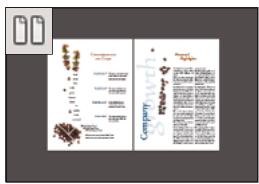 ADOBE ACROBAT XI - Définition de la mise en page et de l'orientation - 3