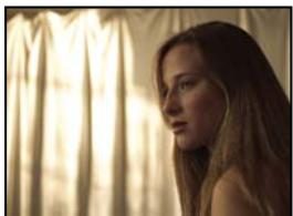ADOBE AFTER EFFECTS CS4 - Galerie d'effets Utilité - 2