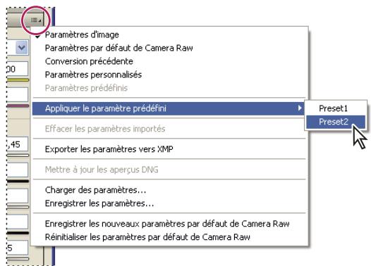 ADOBE AFTER EFFECTS CS4 - Application des paramètres Camera Raw enregistrés - 1