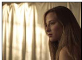 ADOBE AFTER EFFECTS CS4 - Galerie d'effets Utilité - 1
