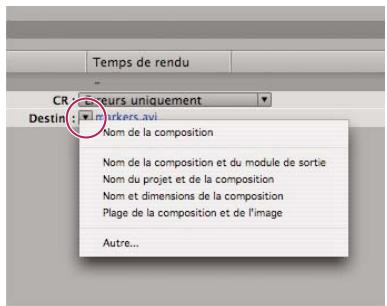 ADOBE AFTER EFFECTS CS4 - Définition des noms et des emplacements des fichiers pour le rendu - 1