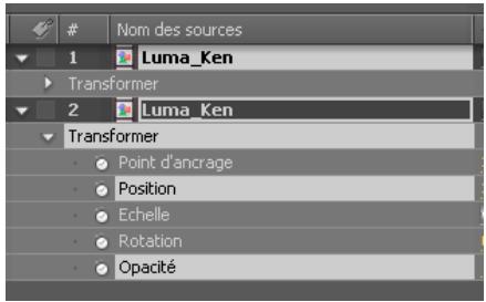ADOBE AFTER EFFECTS CS4 - Sélection de calques - 1