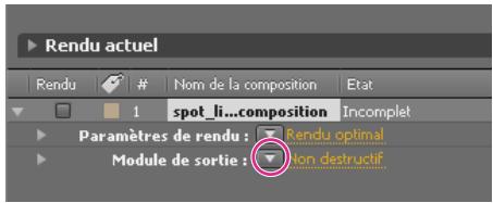 ADOBE AFTER EFFECTS CS4 - Modules de sortie et paramètres des modules de sortie - 1