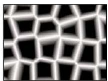 ADOBE AFTER EFFECTS CS4 - Effet Motif cellule - 2