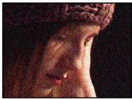 ADOBE AFTER EFFECTS CS4 - Galerie d'effets de bruit et de grain - 7