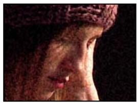 ADOBE AFTER EFFECTS CS4 - Galerie d'effets de bruit et de grain - 9