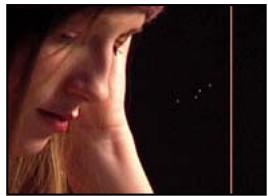 ADOBE AFTER EFFECTS CS4 - Galerie d'effets de bruit et de grain - 3
