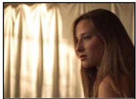 ADOBE AFTER EFFECTS CS4 - Galerie d'effets Utilité - 4