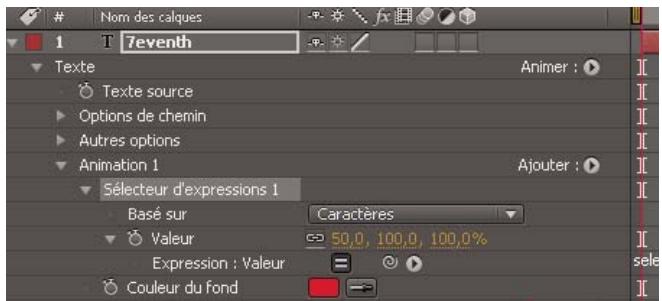 ADOBE AFTER EFFECTS CS4 - Propriétés du sélecteur d'expressions - 3