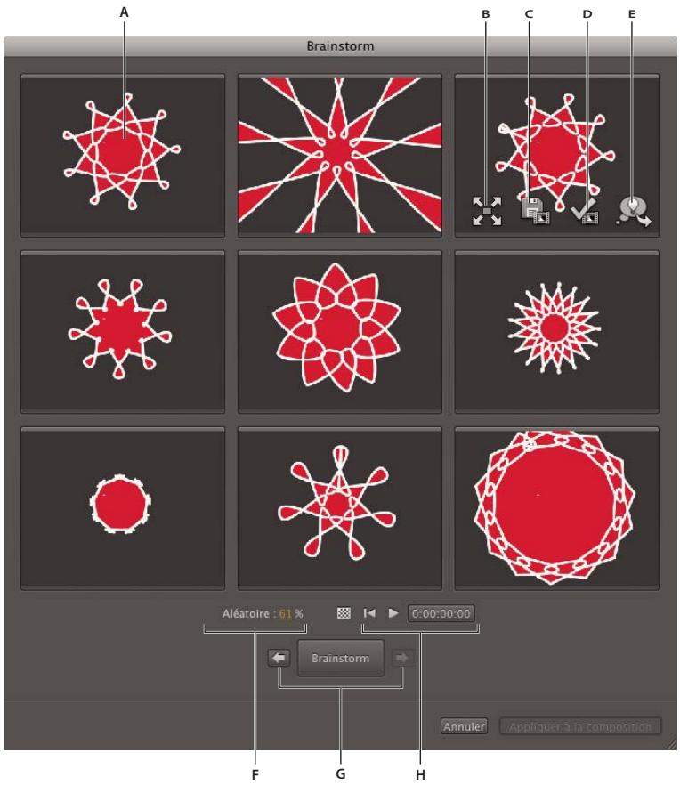 ADOBE AFTER EFFECTS CS4 - Utilisation de l'option Brainstorm pour se familiariser avec les paramètres - 1