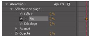 ADOBE AFTER EFFECTS CS4 - Animations de texte - 4