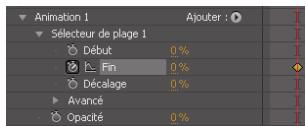ADOBE AFTER EFFECTS CS5 - Animations de texte - 5