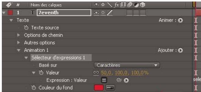 ADOBE AFTER EFFECTS CS5 - Propriétés du sélecteur d'expressions - 3