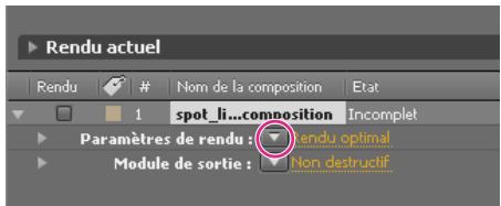 ADOBE AFTER EFFECTS CS5 - Paramètres de rendu - 1