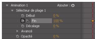ADOBE AFTER EFFECTS CS5 - Animations de texte - 7