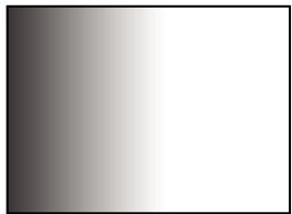 ADOBE AFTER EFFECTS CS5 - Effet Balayage temporel - 4