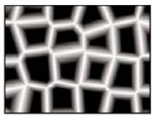 ADOBE AFTER EFFECTS CS5 - Effet Motif cellulule - 2